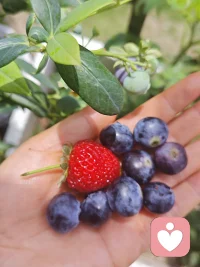 做自己喜欢的事

吃自己喜欢的食物

日子岂不是过得美滋滋呀