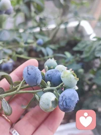 做自己喜欢的事

吃自己喜欢的食物

日子岂不是过得美滋滋呀