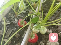 做自己喜欢的事

吃自己喜欢的食物

日子岂不是过得美滋滋呀