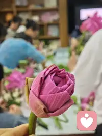 今日治愈系

插荷花

不仅仅锻炼了自我的动手能力+审美能力配图