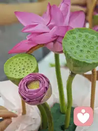 今日治愈系

插荷花

不仅仅锻炼了自我的动手能力+审美能力配图