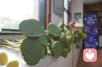 今日治愈系

插荷花

不仅仅锻炼了自我的动手能力+审美能力配图