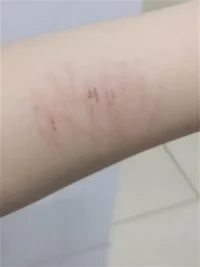 死意已決配圖
