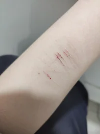 死意已決配圖