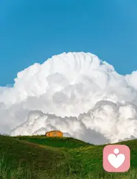 人，最重要的是，有能力自我修復，自我復活，自我救贖，永遠不要指望任何人。配圖