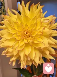 人，最重要的是，有能力自我修復，自我復活，自我救贖，永遠不要指望任何人。配圖