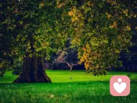 人在世上安身立命的首要之點在于獨立支撐。在物質生活上要能夠供養自己，經濟獨立；在精神生活上也要獨立支撐，不可依賴任何人，無論是他人的評價，他人的喜愛，還是他人的情感。配圖