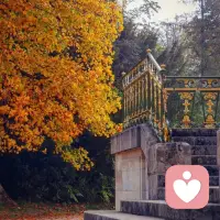 人在世上安身立命的首要之點在于獨立支撐。在物質生活上要能夠供養自己，經濟獨立；在精神生活上也要獨立支撐，不可依賴任何人，無論是他人的評價，他人的喜愛，還是他人的情感。配圖