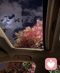 “少研究別人，多提升自己，不是成功來的慢，是你努力的不夠狠，努力只能及格，拼命才能優(yōu)秀。”??配圖