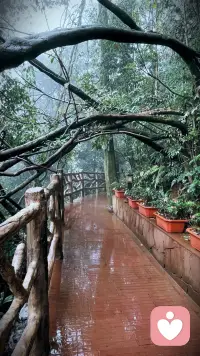 以人為鏡，告誡自己:線下社交中，他人不問，不主動輸出針對對方的評價和建議;他人不好奇，不高頻分享私人生活。保持距離，保持分寸，深刻明白，自己對他人而言并不重要。配圖