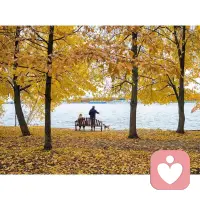 以人為鏡，告誡自己:線下社交中，他人不問，不主動輸出針對對方的評價和建議;他人不好奇，不高頻分享私人生活。保持距離，保持分寸，深刻明白，自己對他人而言并不重要。配圖