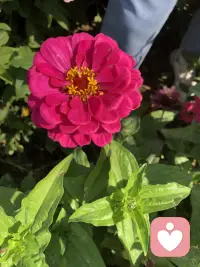 最近遇上好幾個大齡征婚女，條件都相當不錯，但遇上的不是渣男就是騙子。因為只有渣男和騙子才能滿足她們的所有條件。配圖