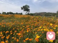 最近遇上好幾個大齡征婚女，條件都相當不錯，但遇上的不是渣男就是騙子。因為只有渣男和騙子才能滿足她們的所有條件。配圖