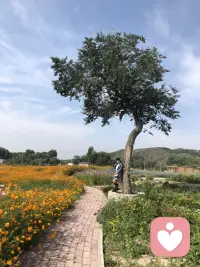 做自己喜歡的事，就必須要在別人的懷疑和自我懷疑中堅(jiān)持下來(lái)，這是最難也是最關(guān)鍵的。配圖