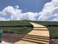 要多去主動表達心意，別做太多無用且無意義地等待，等待過程漫長并且不確定。所以盡可能地把“很高興見到你”，以及“認識你很快樂”從一開始就說明白。不管結局怎么樣。也要很坦率地將“很喜歡你”的心意傳達給對方。配圖