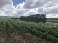 曾国藩曾写下三句话，以勉励和警诫家族子弟——人败皆因懒，事败皆因傲，家败皆因奢。 ​​​配图