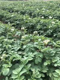 曾国藩曾写下三句话，以勉励和警诫家族子弟——人败皆因懒，事败皆因傲，家败皆因奢。 ​​​配图