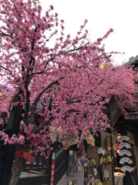 《人體簡(jiǎn)史》里有一段挺浪漫的話：
把你體內(nèi)的DNA搓成一條線的話，它能延伸100億英里，比地球到冥王星的距離還遠(yuǎn)。所以光靠你自己就足夠離開太陽(yáng)系了，從字面意義來(lái)看，你就是宇宙。配圖