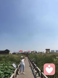 犯了錯記得立即原諒自己。別懊惱，別悔恨，別糾結，事情已經發生，該承擔責任就承擔責任，該解決問題就解決問題。只應對，不消耗。 ???配圖