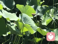 真正的幸福，不是在一段糟糕的關系里揪著付出不放，而是主動尋找和選擇。配圖