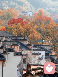 從心理學的角度，每個人終生都在尋找三個朋友，一個在前，一個在后，一個在左右。

在前的是基于理想化的父母影像和未來的我，在后的是基于野心/雄心的夸大自體和過去的我。還有一個在左亦在右，就是另外的我，作為密友的我，孿生的我，想像的我。 ???配圖