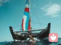 只生活在一種環(huán)境中，是無(wú)法看到自己的局限性的。

魚兒只有躍出水面，才能發(fā)現(xiàn)自己生活在水中。 ???配圖