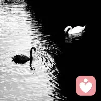 听闻查理·芒格逝世，非常遗憾，他是一位大智者

我最喜欢他的一句话：

人很容易高估自己的能力，同时又低估高估自己能力的风险配图