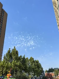 亲子关系家庭教育心理学知识分享
家乡朋友们，请放下你的控制和你的想法，你的所谓的为了孩子好，其实都是你自己的焦虑和曾经。放下这一切，去看到孩子，感受孩子，真正在乎孩子。这里送上一段对我来说非常有觉察和力量的话:
你的儿女，其实不是你的儿女。
他们借助你来到这世界，却非因你而来。
他们在你身旁，却并不属于你。
你可以给予他们的是你的爱，却不是你的想法。
因为他们有自己的思想。
你可以庇护的是他们的身体，却不是他们的灵魂。
因为他们的灵魂属于明天，属于你做梦也无法到达的明天。