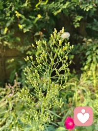 你和誰在一起既舒服又快樂，誰就最愛你
你和誰在一起既痛苦又卑微，你就最愛誰配圖