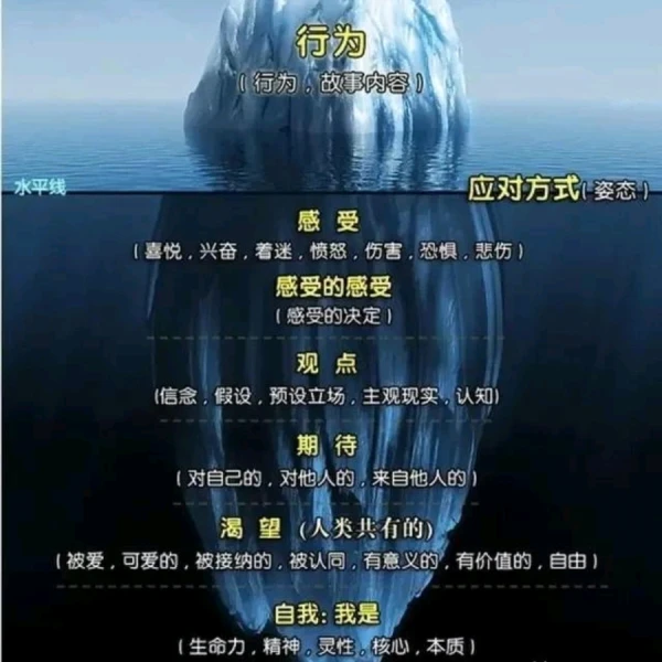 不务正业的厨子