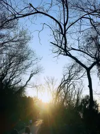 人一定要禁得起假話，受得住敷衍，忍得住欺騙，忘得了承諾；放得下一切，百煉成精，淡定從容。
