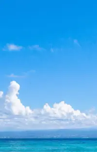 世界上有兩種人值得我們?nèi)フ湎А２桓唬瑓s愿意為你傾其所有的人。很忙，卻愿意為你有空的人。