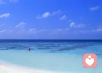 當別人向你求助的時候，你最好給予。當然更好的是別人沒有向你求助的時候，你也可以通過理解而給予。對于慷慨大方的人來說，尋找一個需要幫助的人，會比給予更有滿足感！配圖
