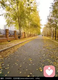 遠離讓你不快的人，靠近讓你愉悅的人，觀念不同沒必要硬碰配圖
