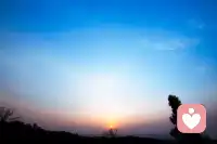 生活就是頂著一分甜，沖淡那九分苦配圖