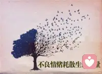 總是原地踏步，或是一直待在不喜歡的環境里怨天尤人，是無法改變任何事情的。這個世界有很多美麗的風景，都是過去的你沒有想象過的。不要害怕改變可能會帶來的種種難題，面對問題有很多不同的處理方式，要相信自己有能力承擔、解決問題。配圖