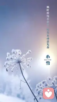 小雪至，天渐寒，注意保暖🌞配图