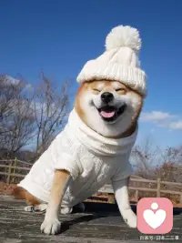 活着不是为了取悦这个世界，而是为了用喜欢的生活方式来取悦自己。配图