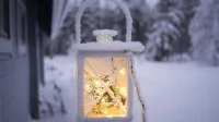 傾聽，是黑夜中的一盞指路明燈；讓迷失方向的人走向光明；溫暖，是雪地里的一團篝火；讓寒冷的人們感到撲面的熱氣；陪伴，是沙漠中稀有的一滴水，讓口干舌燥的人感到甘甜。配圖