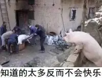 假如終其一生，找不到最適合你的另一半，不要懊惱，更不要沮喪，冥冥之中，一定有個更大的使命在等待著你一一老天必定會賦予你特殊的才能，讓你專注自己的特長。做出一番對全人類都能更有裨益的事業來。婚姻反而會把你變小。所以，單身時請珍惜，發揮自己最大的能量。一個人，照樣一生精彩。配圖