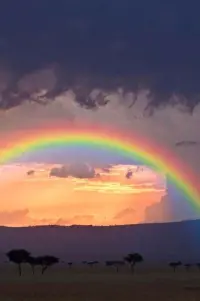 不管雨下得多大、連續下幾天，總有晴天的時候。所以無論遇到什么困難，都要以積極的心態去面對，堅信總有雨過天晴的時候。配圖