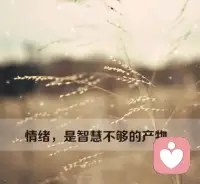 我們每個人都會有一段異常艱難的時光，生活的壓力，工作的失意，學業的壓力，愛的惶惶不可終日，挺過來的，人生就會豁然開朗，挺不過來的，時間也會教你，怎么與它們握手言和，所以不必害怕。配圖