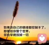 內(nèi)耗是急于求成與低能力的矛盾沖突，降低自己的要求，跟上自己的腳步。配圖