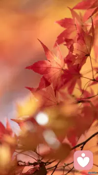 練就一顆豁達的心，睡前原諒一切，醒時不問過往。配圖