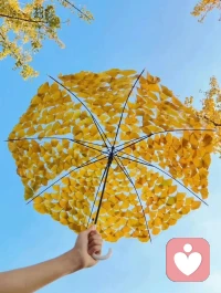 生活中90％的焦慮都是因為懶導致的，懶讓人舒服但會換成另一種不舒服壓在你身上，生活從沒有投機取巧。配圖