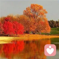 人生中遇到的每一個(gè)人都會(huì)給你教會(huì)你一些東西，有的是經(jīng)驗(yàn)，有的是教訓(xùn)，所以珍惜每個(gè)遇到的人。配圖