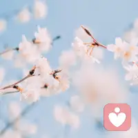 你勤奮充電、努力工作、保持身材、對人微笑，這些都不是為了取悅他人，而是為了扮靚自己，照亮自己的心，告訴自己：我是一股獨立向上的力量。配圖