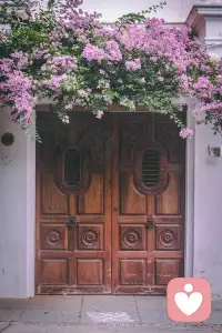 上帝給你關上一扇門，總會為你在墻上留下很多開鎖的電話號碼配圖