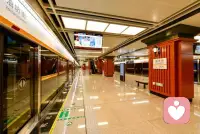 人生經歷的一切，幸福，災禍，快樂，痛苦，都是一場體驗，因為百年之后一切也都會煙消云散了，財富帶不走，苦難也不會被帶走。配圖