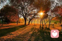 去相信美好的东西，相信他人的善意，相信努力的意义，这些美好，你越相信，就越接近。早安！配图